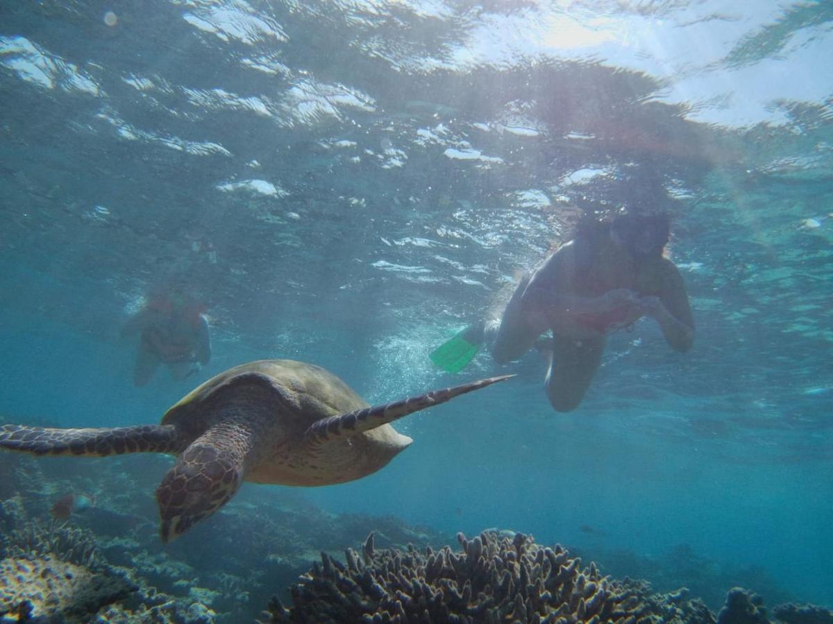 Chambao Maldives Hotel Guraidhoo  Eksteriør billede