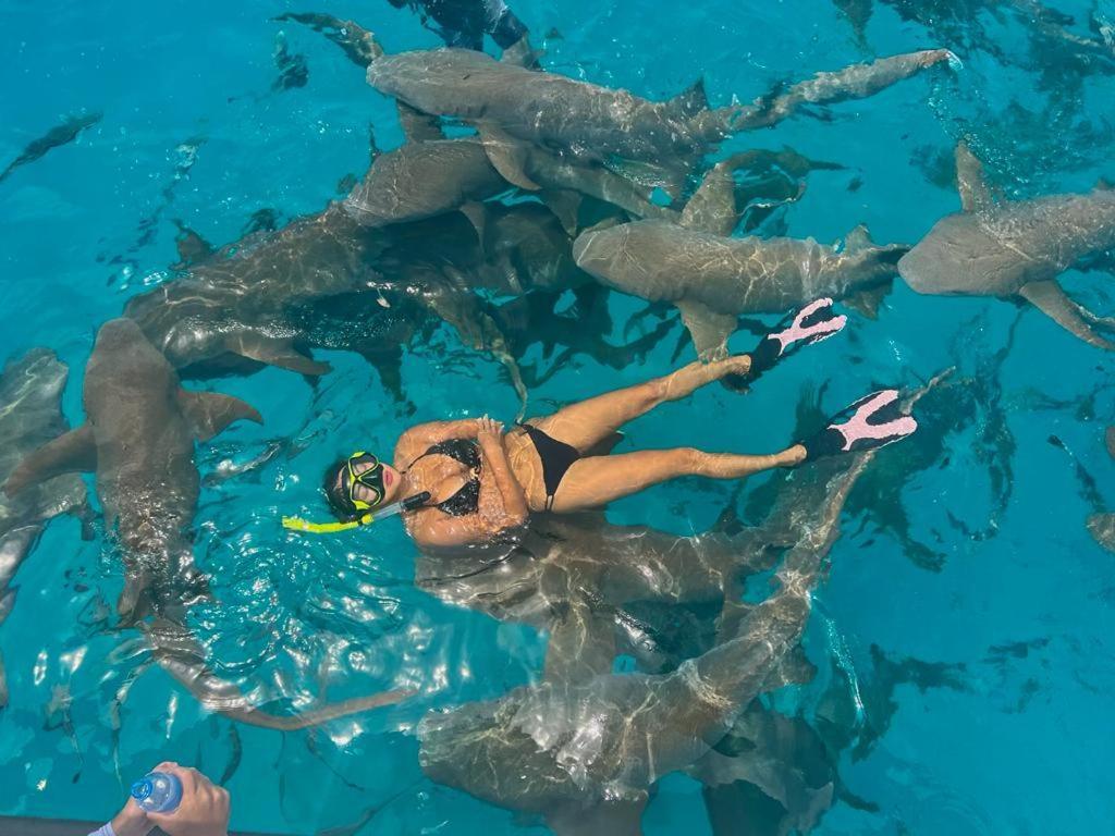 Chambao Maldives Hotel Guraidhoo  Eksteriør billede